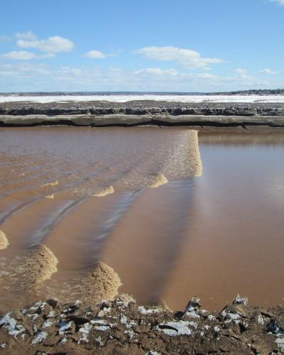A muddy tidal bore wave moving upstream in a wide river channel with snow-covered banks and a distant shoreline under a blue sky.