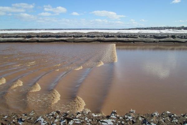 Petitcodiac Tides