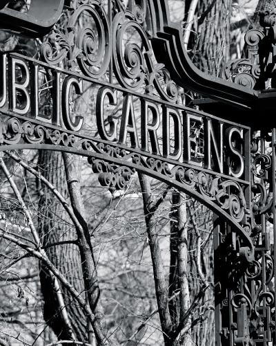 A close-up black and white photograph of an ornate wrought-iron gate featuring the text "PUBLIC GARDENS" in raised capital letters, with bare trees visible in the background.