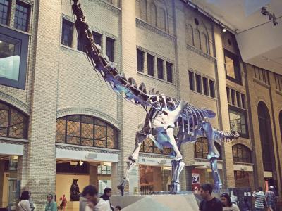 The image shows the interior of a large museum hall featuring a massive dinosaur skeleton (a sauropod) suspended from the ceiling, with visitors walking around on the ground floor and distinctive brick architecture with arched windows.