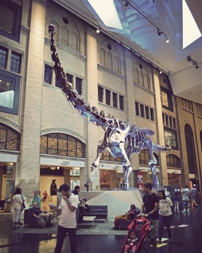 The image shows the interior of a large museum hall featuring a massive dinosaur skeleton (a sauropod) suspended from the ceiling, with visitors walking around on the ground floor and distinctive brick architecture with arched windows.