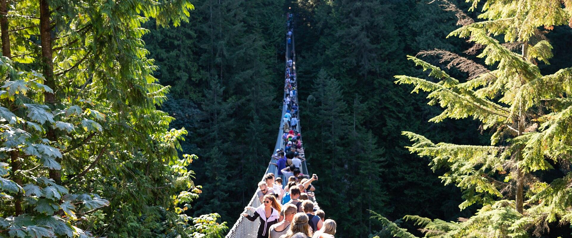 Capilano Suspension Bridge Park
