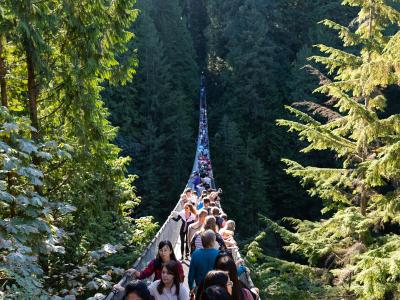 A long suspension bridge crowded with tourists walking through a dense, tall evergreen forest.