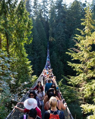 A long suspension bridge crowded with tourists walking through a dense, tall evergreen forest.