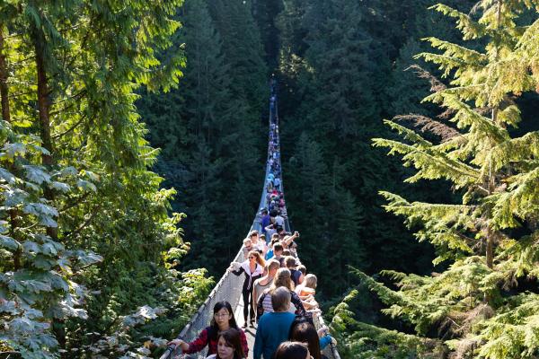 Capilano Suspension Bridge Park