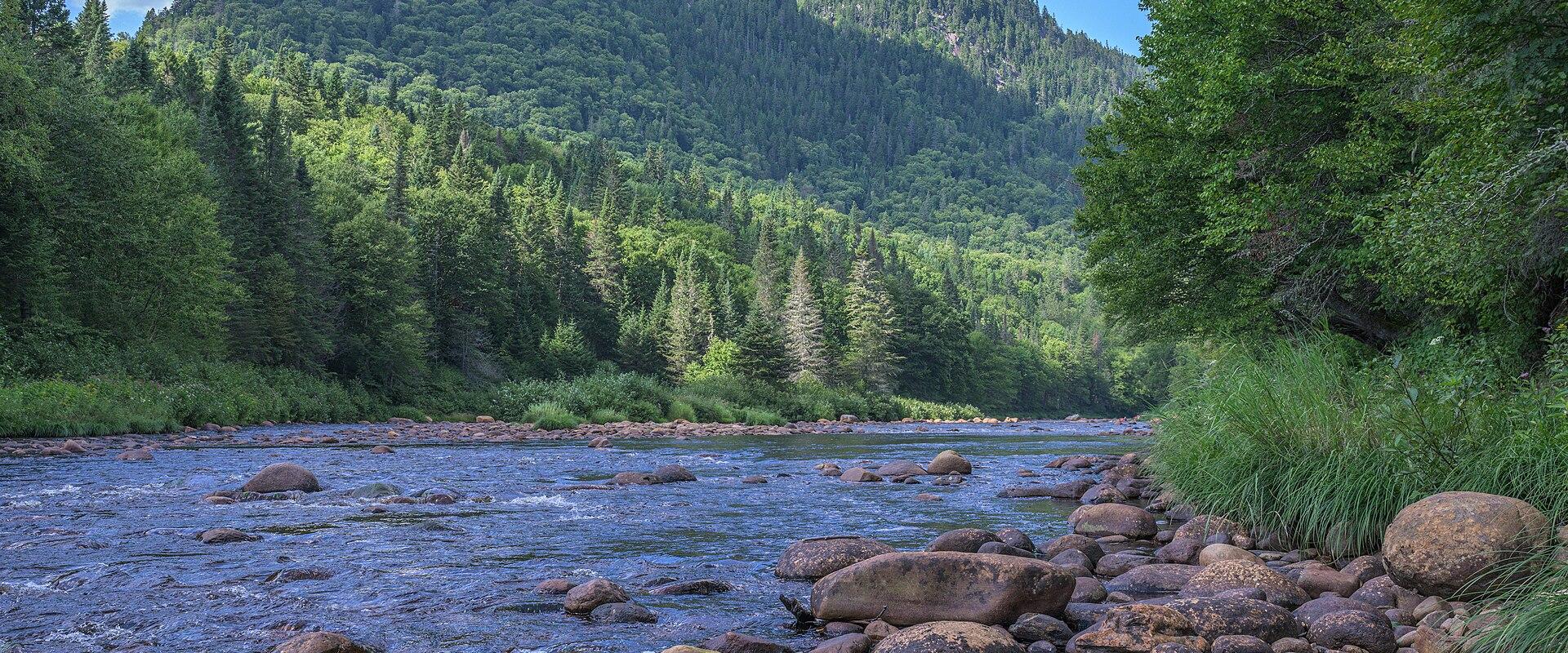 A wide river with rocky banks flows through a dense green forest, with a large, tree-covered mountain rising in the background under a blue sky.