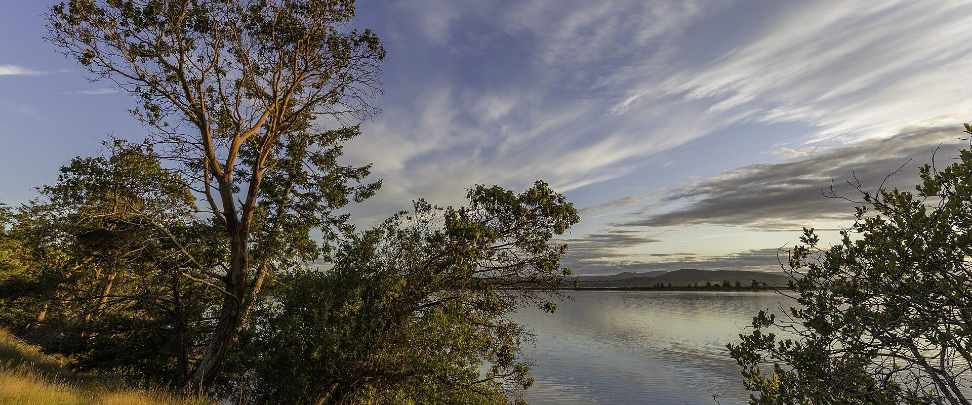 A landscape photograph showing a large tree and shrubs on a grassy bank overlooking a calm body of water with distant hills under a cloudy sky at sunset.