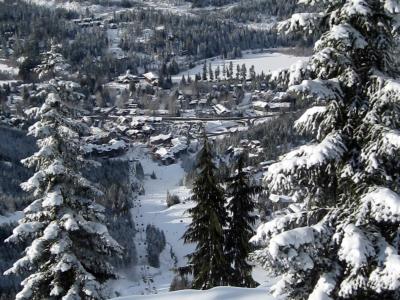 Winter in Whistler