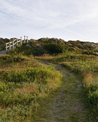 A dirt trail winds up a grassy, rocky hill towards a white wooden fence and viewing platform at the summit.