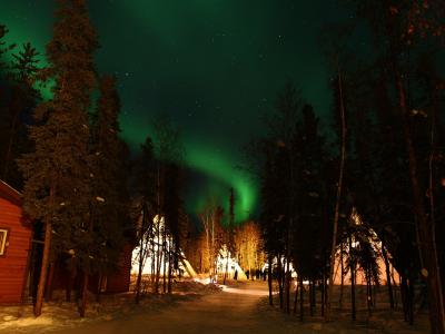 A night scene showing the Northern Lights over a snowy path lined with tall pine trees, illuminated teepee-style structures, and a wooden cabin on the left.