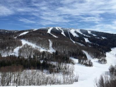 A wide-angle view of a snowy mountain face with multiple groomed ski runs, chairlifts, and dense mixed forest under a blue sky with wispy clouds.