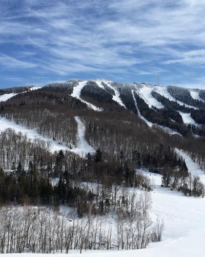 A wide-angle view of a snowy mountain face with multiple groomed ski runs, chairlifts, and dense mixed forest under a blue sky with wispy clouds.