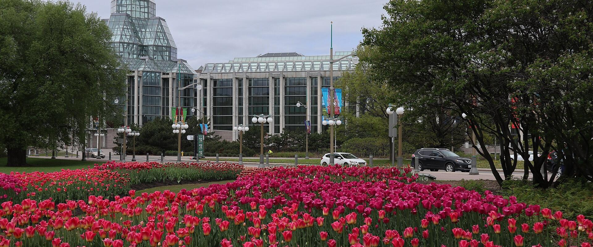 Arts, Museums, and Galleries