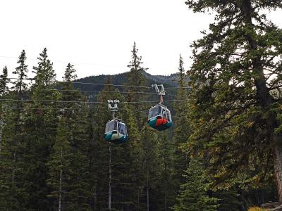 A teal and wood sign reading "BANFF GONDOLA" stands in a grassy area next to a road with parked cars and a mountain backdrop.