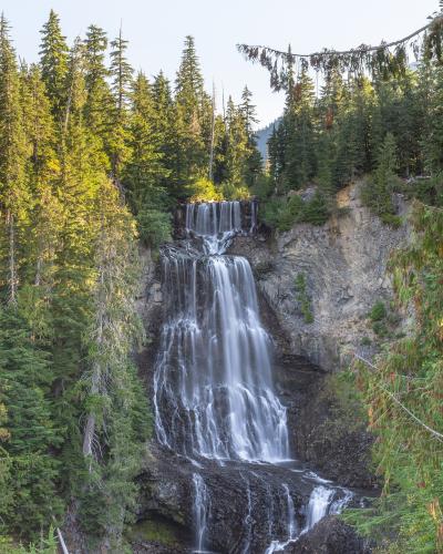 A tall, multi-tiered waterfall cascading down a rocky cliff face surrounded by dense evergreen forest.