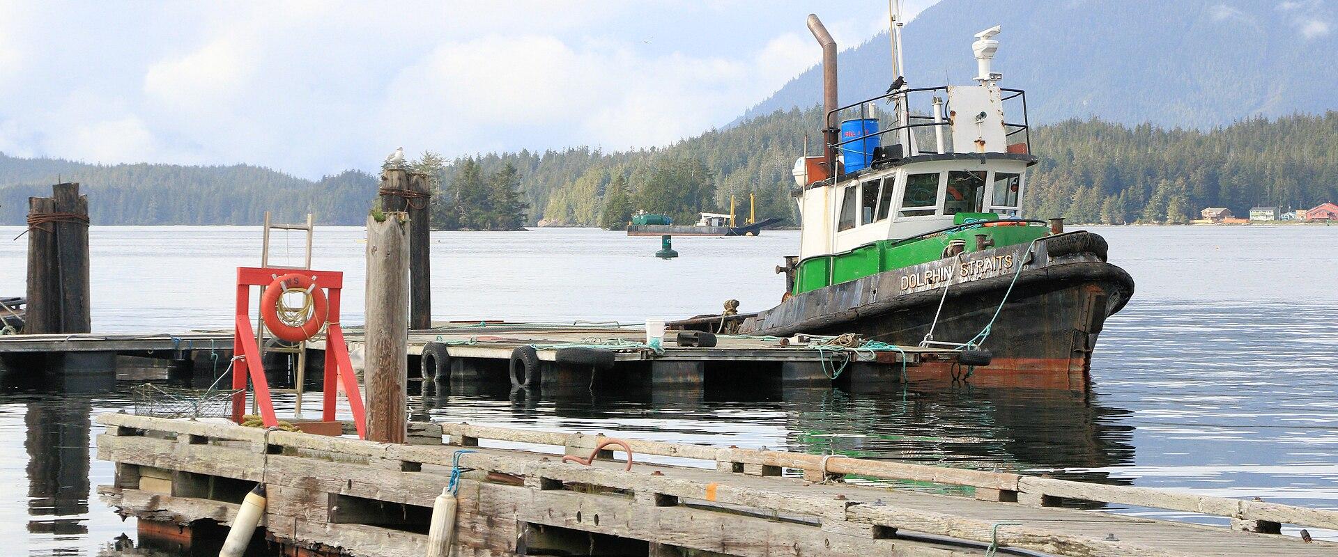 Whale Watching in Tofino
