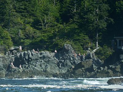 Rocky shoreline and rainforest at Hot Springs Cove, Maquinna Marine Provincial Park