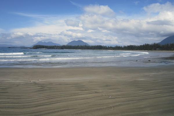 Chesterman Beach