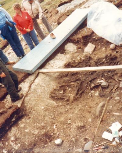 A group of people observing an archaeological excavation site where a large whale skeleton is being uncovered in the earth.