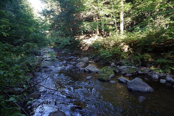 Carp Heritage Trail