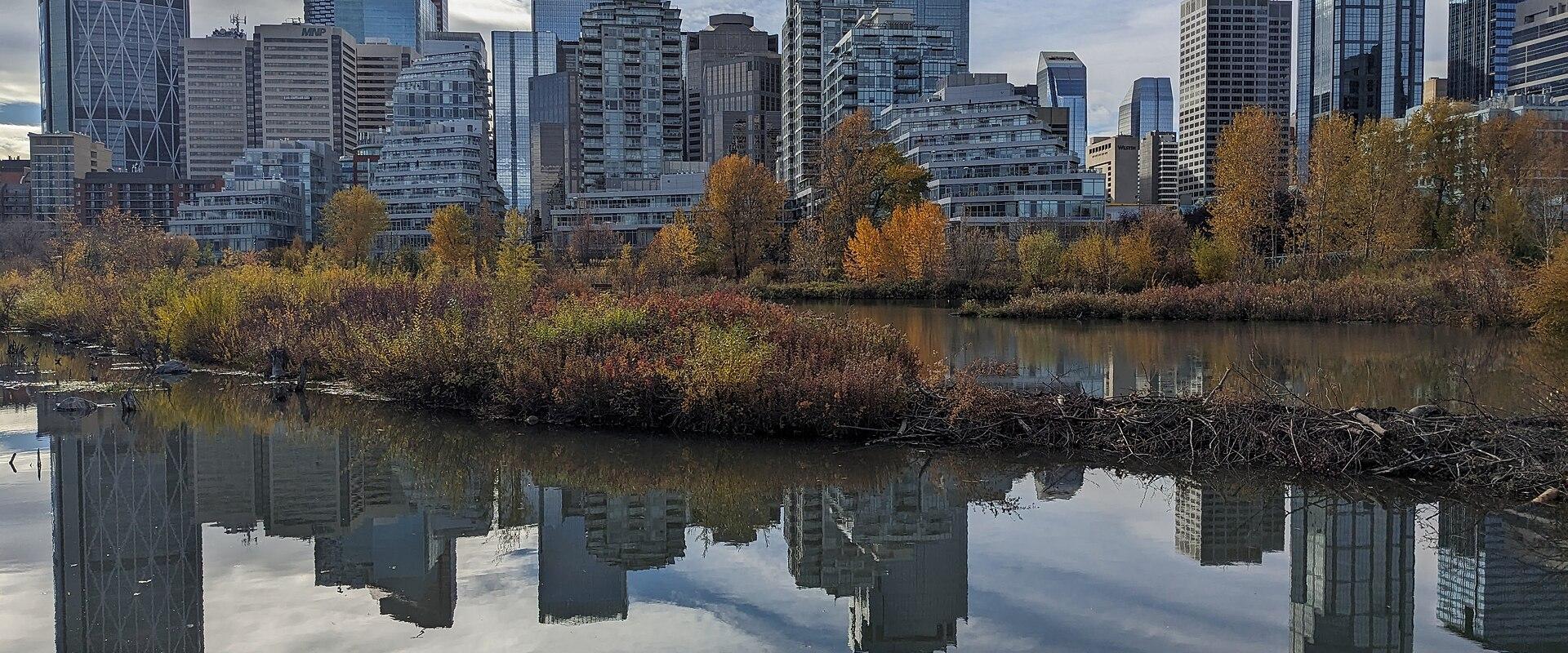 The Calgary skyline reflected in the Bow River in autumn