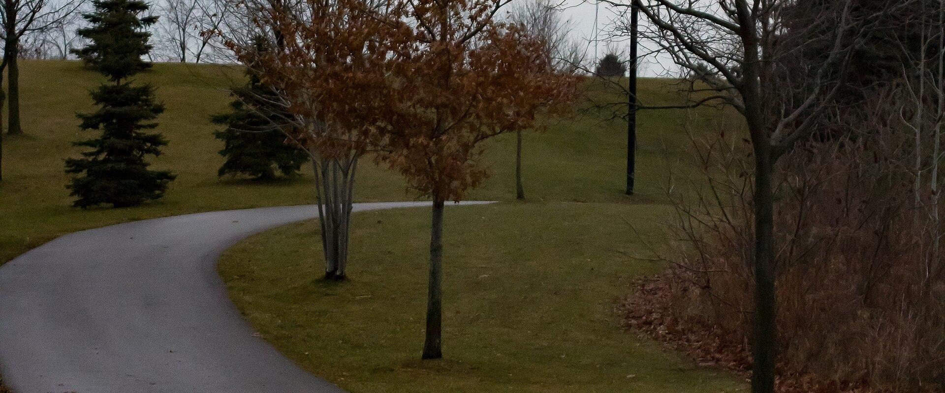A paved asphalt pathway curving through a grassy park area with deciduous and evergreen trees under an overcast sky.