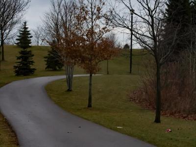 A paved asphalt pathway curving through a grassy park area with deciduous and evergreen trees under an overcast sky.