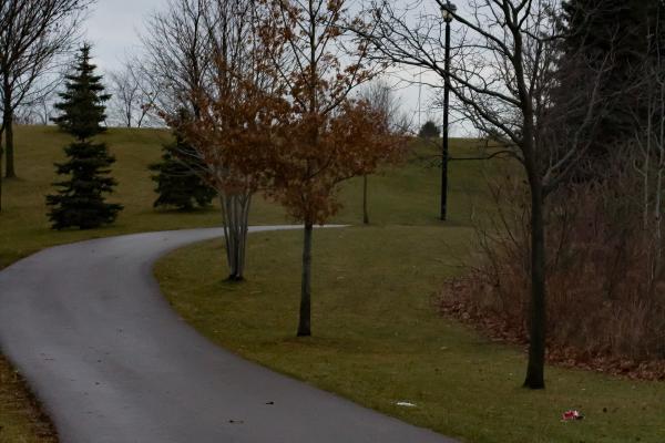 Milliken Park