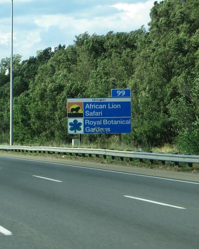 A blue highway exit sign on the Queen Elizabeth Way in Ontario, displaying directions for "African Lion Safari" and "Royal Botanical Gardens" with a leaf logo.