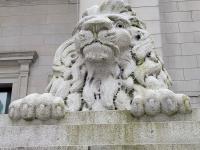 Vancouver Art Gallery