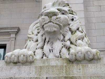 A close-up photograph of a weathered stone lion statue resting on a granite ledge, with a large classical column and the facade of a stone building visible in the background.