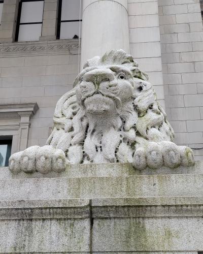 A close-up photograph of a weathered stone lion statue resting on a granite ledge, with a large classical column and the facade of a stone building visible in the background.