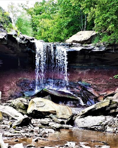 A waterfall cascading from a layered rock overhang into a pool surrounded by green foliage and large boulders.