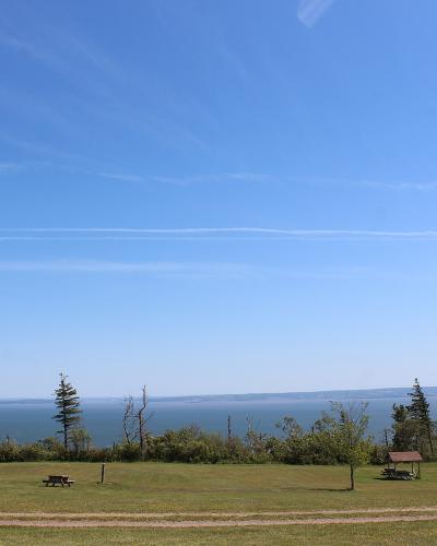 A grassy picnic area with wooden tables and shelters overlooking a wide body of water under a blue sky with contrails.