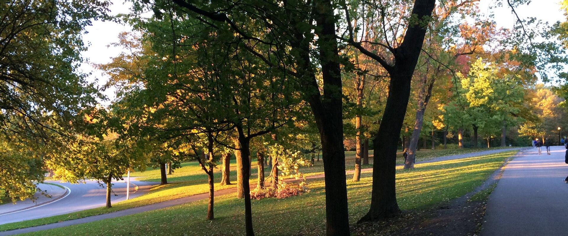 Mount Royal Park