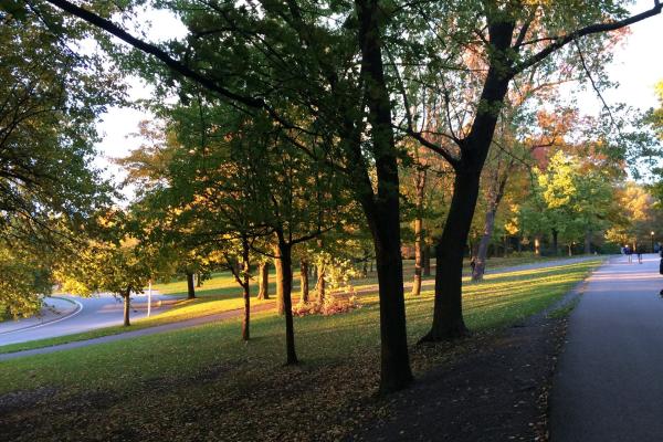 Mount Royal Park
