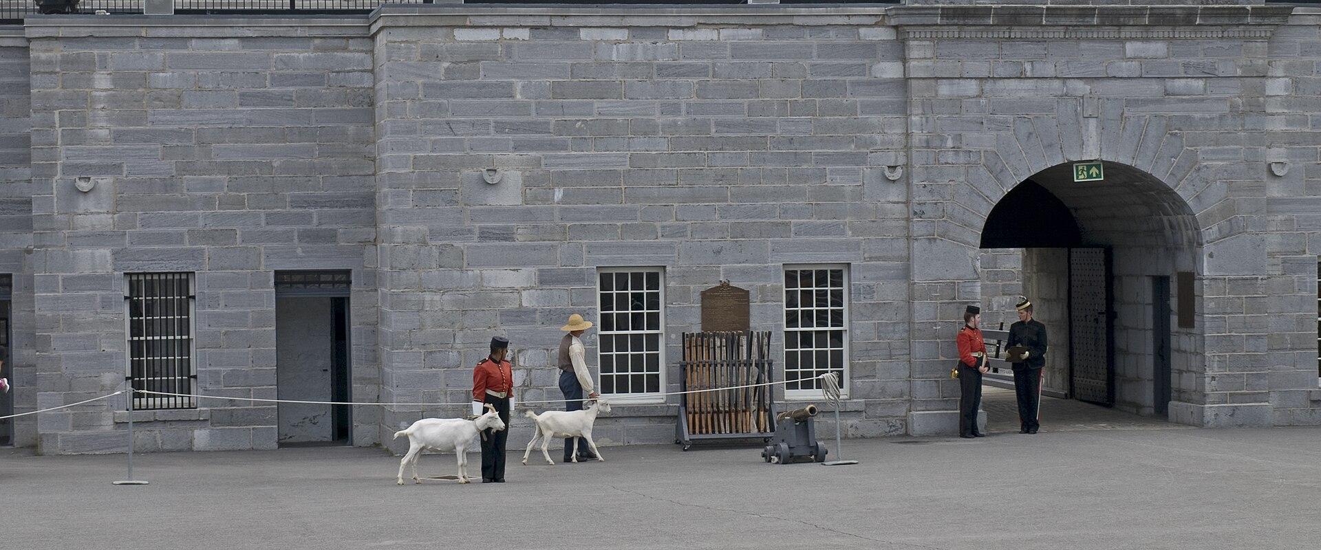 A stone courtyard of a historic fort featuring soldiers in period uniforms, a handler with two white goats, and a small cannon.