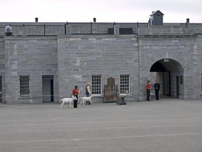 A stone courtyard of a historic fort featuring soldiers in period uniforms, a handler with two white goats, and a small cannon.