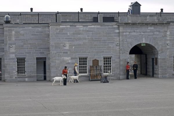 Fort Henry Connection (Viewpoint)