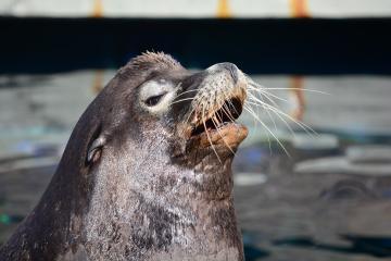 Zoos & Aquariums