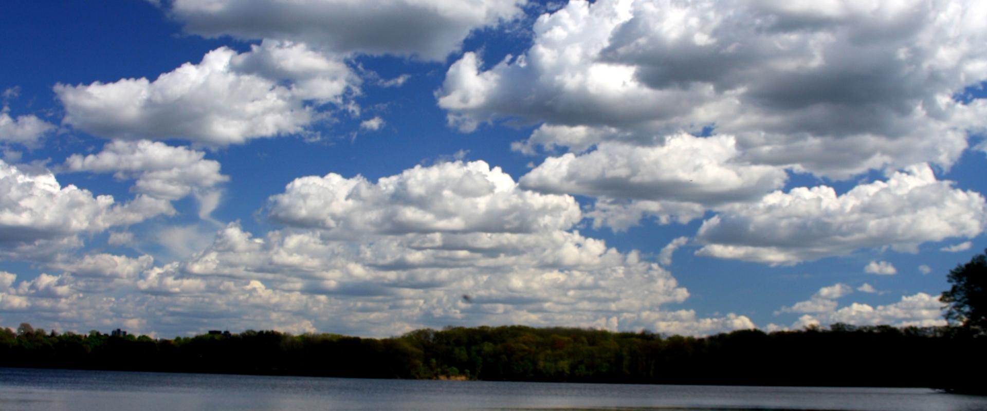 Cootes Paradise