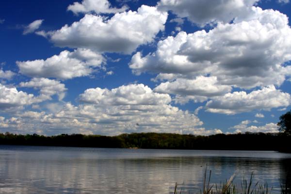 Cootes Paradise