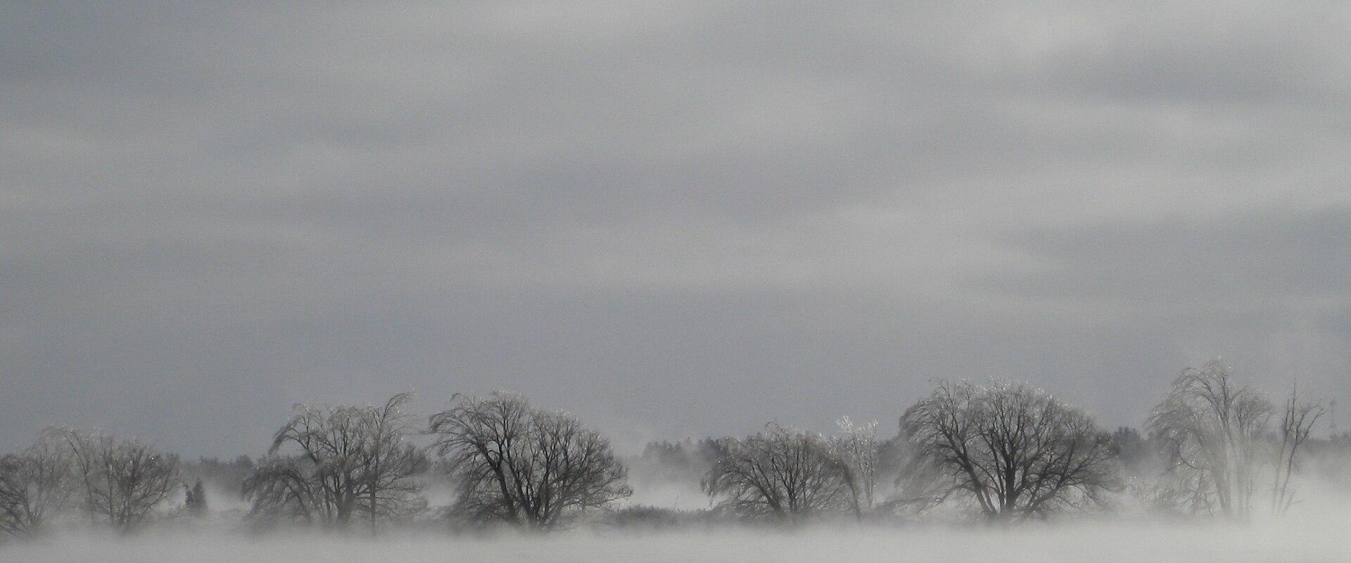 A foggy landscape showing a line of bare trees along a riverbank with mist rising from the water surface under an overcast sky.