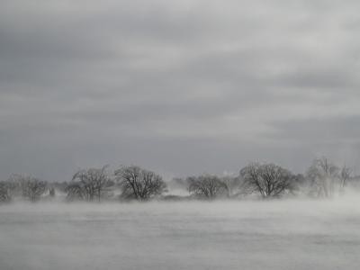 A foggy landscape showing a line of bare trees along a riverbank with mist rising from the water surface under an overcast sky.