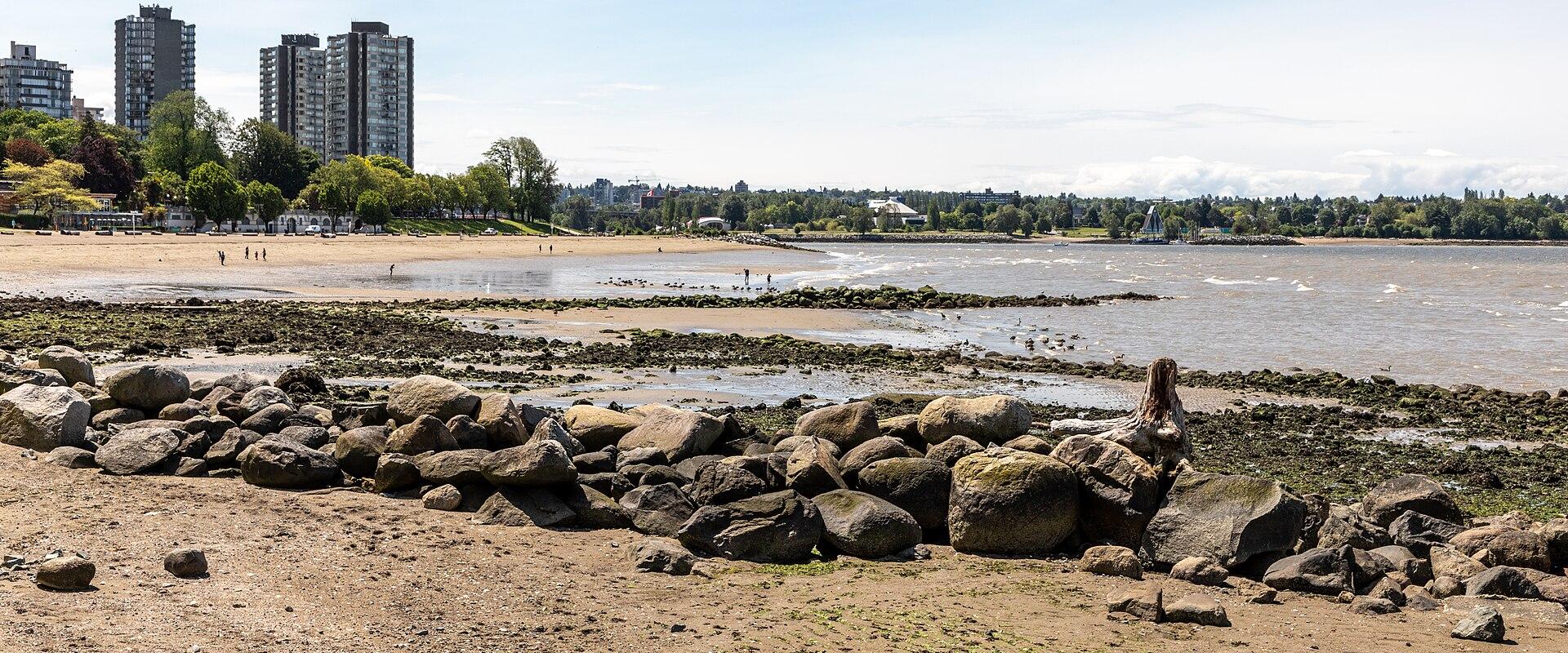 A sandy beach with a rocky foreground and seaweed-covered tidal flats, backed by a line of trees and several tall residential high-rise buildings under a clear sky.