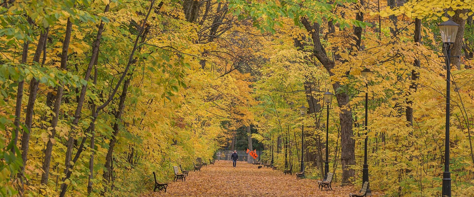 Parc du Bois-de-Coulonge