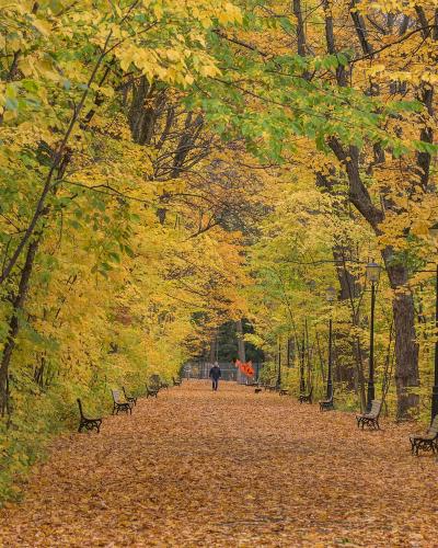 A tree-lined park pathway covered in autumn leaves, flanked by benches and vintage-style lampposts, with a person walking in the distance.