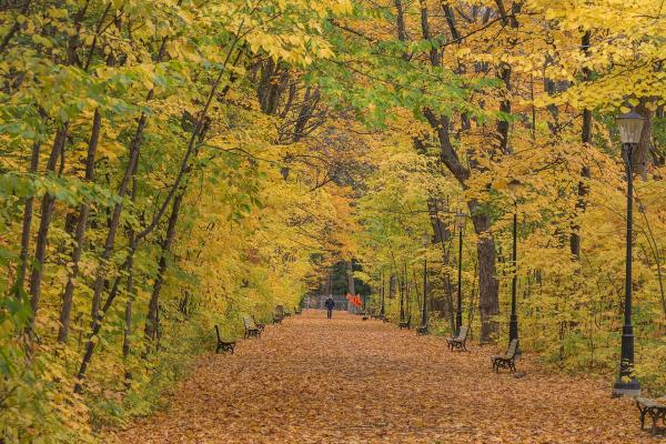 Parc du Bois-de-Coulonge