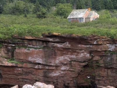 A weathered, two-story stone house with a damaged roof sits atop a steep, reddish-brown sandstone cliff face covered in green vegetation, with seabirds visible on the rocks and in flight.