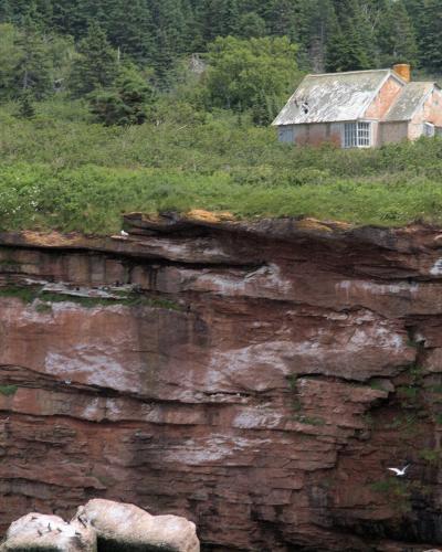 A weathered, two-story stone house with a damaged roof sits atop a steep, reddish-brown sandstone cliff face covered in green vegetation, with seabirds visible on the rocks and in flight.
